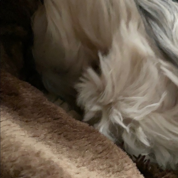 Meet your Posher, Connie - Picture 1 of 1